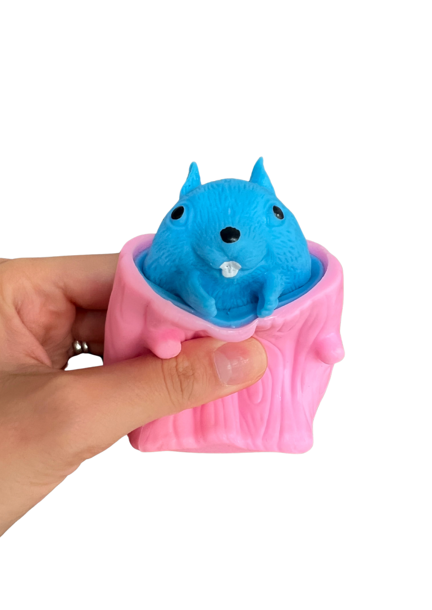 Novelty squirrel squeezer sensory tool