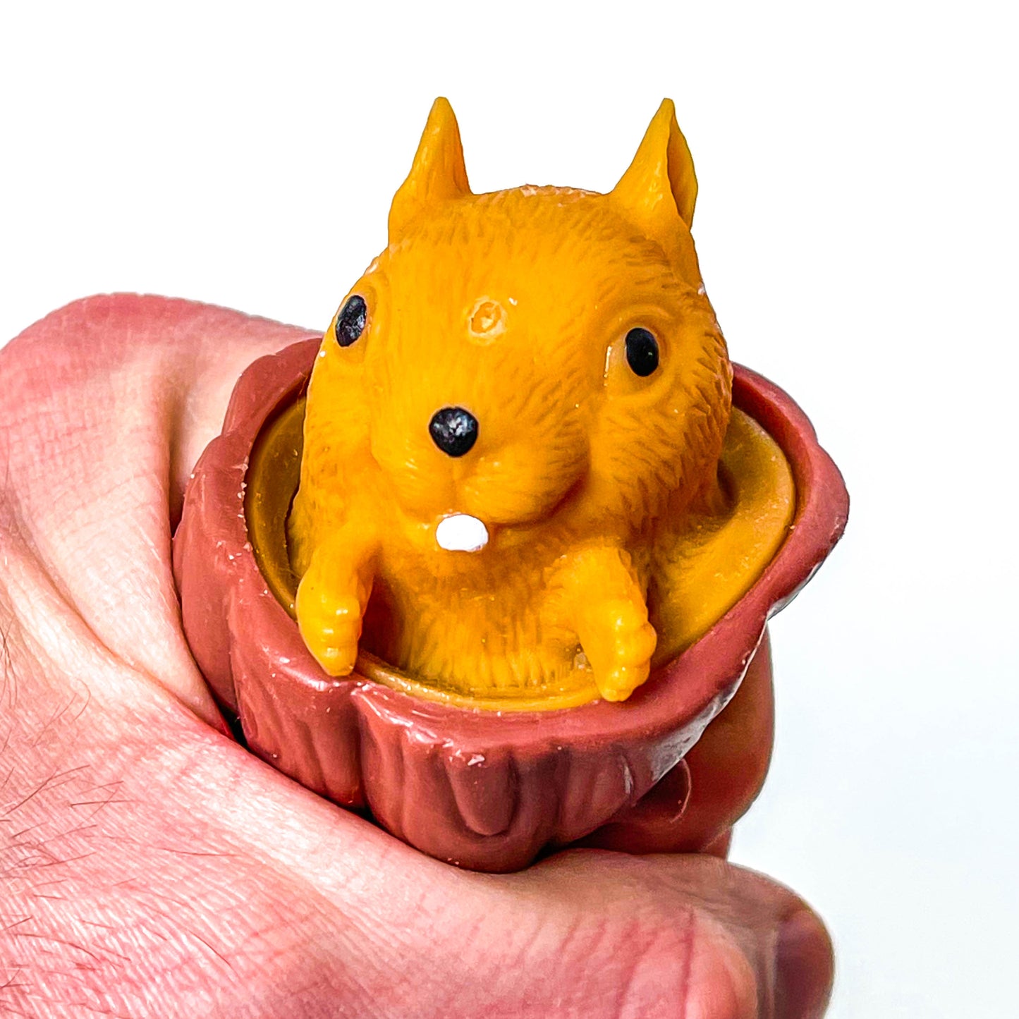 Novelty squirrel squeezer sensory tool