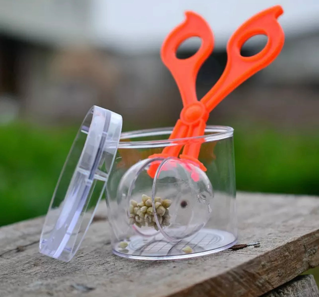 Tuff Tray Accessories Set with worms