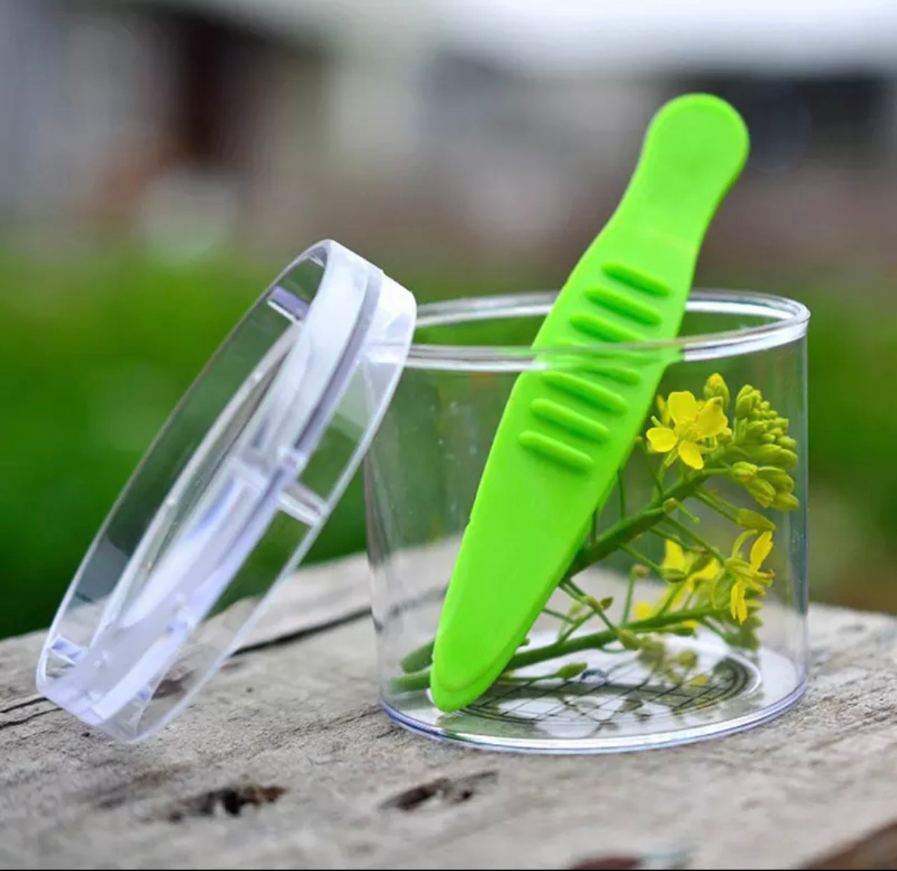 Tuff Tray Accessories Set with worms