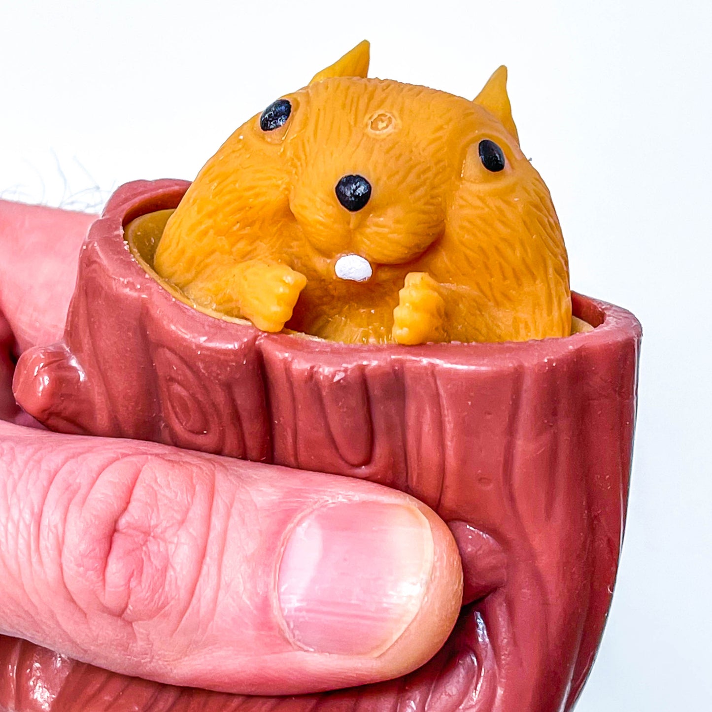 Novelty squirrel squeezer sensory tool